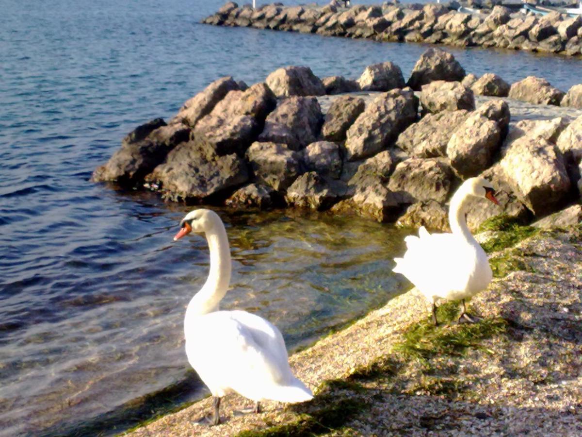 Residenza Al Sogno - On Lake Garda Cavaion Veronese Exterior photo
